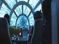 Solo A Star Wars Story (5)                                                                                                                                                                              