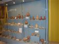 أفتتاح معرض أثري مؤقت لنتاج حفائر البعثة الأثرية (14)                                                                                                                                                   