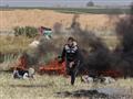 قتل 16 فلسطينيا على الأقل في الأحداث الأخيرة
