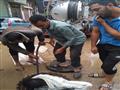 مياه القناه تدفع بسيارات وأفراد للمعاونة في مواجهة الأمطار (12)                                                                                                                                         