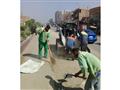 حملات نظافة بأحياء الجيزة (1)