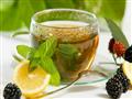  5 فوائد صحية عند تناولك للشاي الأخضر.. تعرف عليها