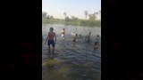أرشيفية