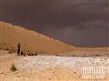 صحراء النفود (3)                                                                                                                                                                                        