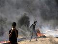 الأحداث في غزة (8)                                                                                                                                                                                      