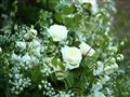 الصور الأولى لزهور الزفاف المكلي.. وديانا حاضرة رغم غيابها                                                                                                                                              