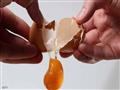 تناول «بيضة» واحدة يومياً يحميك من أمراض القلب                                                                                                                                                          