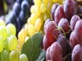 في موسمه.. تعرف على فوائد تناول العنب في رمضان (5)                                                                                                                                                      