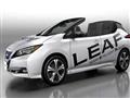 Nissan Leaf (1)