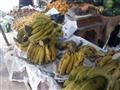 سوق الفاكهة (7)                                                                                                                                                                                         