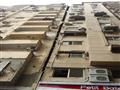 انفصال 3 طوابق عن عقار بالإسكندرية (5)                                                                                                                                                                  