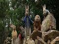 فيلم Peter Rabbit (3)                                                                                                                                                                                   