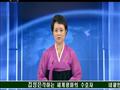  إعلام كوريا الشمالية