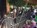 الموطنون يحتفلون بالعيد في حديقة الحيوان (5)                                                                                                                                                            