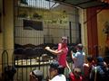 الموطنون يحتفلون بالعيد في حديقة الحيوان (10)                                                                                                                                                           