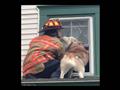 كلب يرد الجميل لرجل الإطفاء                                                                                                                                                                             