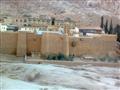 أعضاء اللجنة المصرية يتفقدون الجبال المقدسة وكنائس دير سانت كاترين  (4)                                                                                                                                 
