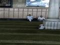 علاء مبارك  يظهر بمسجد الحسين (19)                                                                                                                                                                      