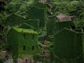 قرية صينية.. تغطي النباتات الخضراء منازلها بالكامل (2)                                                                                                                                                  