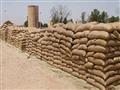 الحكومة تتوقع حصاد 9 ملايين طن في موسم القمح