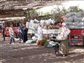 تجار خضروات في سوق 6 أكتوبر (4)                                                                                                                                                                         