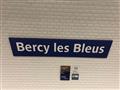 احتفالا بـالديوك.. مترو فرنسا يغير أسماء 6 محطات (5)                                                                                                                                                    