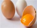7 علامات أساسية تبين لك البيض فاسد أم طازج  (5)