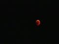 ظهور القمر باللون الأحمر ‫(1)‬ ‫‬                                                                                                                                                                       