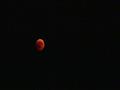 ظهور القمر باللون الأحمر ‫(1)‬                                                                                                                                                                          