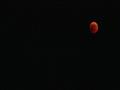 ظهور القمر باللون الأحمر ‫(224012173)‬ ‫‬                                                                                                                                                               
