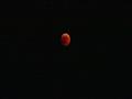ظهور القمر باللون الأحمر ‫(224012174)‬ ‫‬                                                                                                                                                               