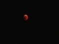 ظهور القمر باللون الأحمر ‫(224012175)‬ ‫‬                                                                                                                                                               