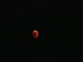ظهور القمر باللون الأحمر ‫(224012176)‬ ‫‬                                                                                                                                                               
