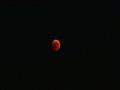 ظهور القمر باللون الأحمر ‫(224012177)‬ ‫‬                                                                                                                                                               