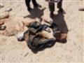 جثث مصريين متحللة في ليبيا                                                                                                                                                                              