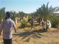 مزارع جهاز تعمير جنوب سيناء                                                                                                                                                                             