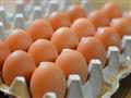 ما هي الطريقة الصحيحة لنخزين البيض وطهيه؟ (3)