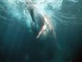 كواليس فيلم The Meg (5)                                                                                                                                                                                 