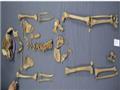 عظام تابوت الإسكندرية (3)                                                                                                                                                                               