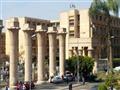 جامعة شمس