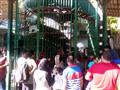 المصريون يحتفالون برابع أيام العيد في حديقة الحيوان (9)                                                                                                                                                 