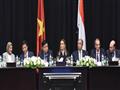 وزيرة الاستثمار في منتدى الأعمال المصري الفيتنامي (7)                                                                                                                                                   