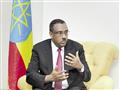 نائب رئيس الوزراء الإثيوبي ديميك ميكونن
