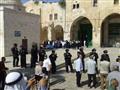 30 ألف متطرف إسرائيلي اقتحموا المسجد الأقصى في 201