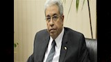 الدكتور عبدالمنعم سعيد