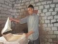 ورق البردي في قرية طوخ القراموص (7)                                                                                                                                                                     