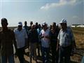 محافظ بورسعيد يشهد حصاد محصول الأرز7                                                                                                                                                                    