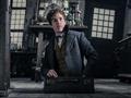 كواليس فيلم Fantastic Beasts (4)                                                                                                                                                                        