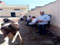 حملات بيطرية لتحصين الماشية ضد الحمى القلاعية بالمحافظات (2)                                                                                                                                            
