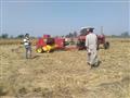 خلال عمل جمع قش الأرز في كفرالشيخ